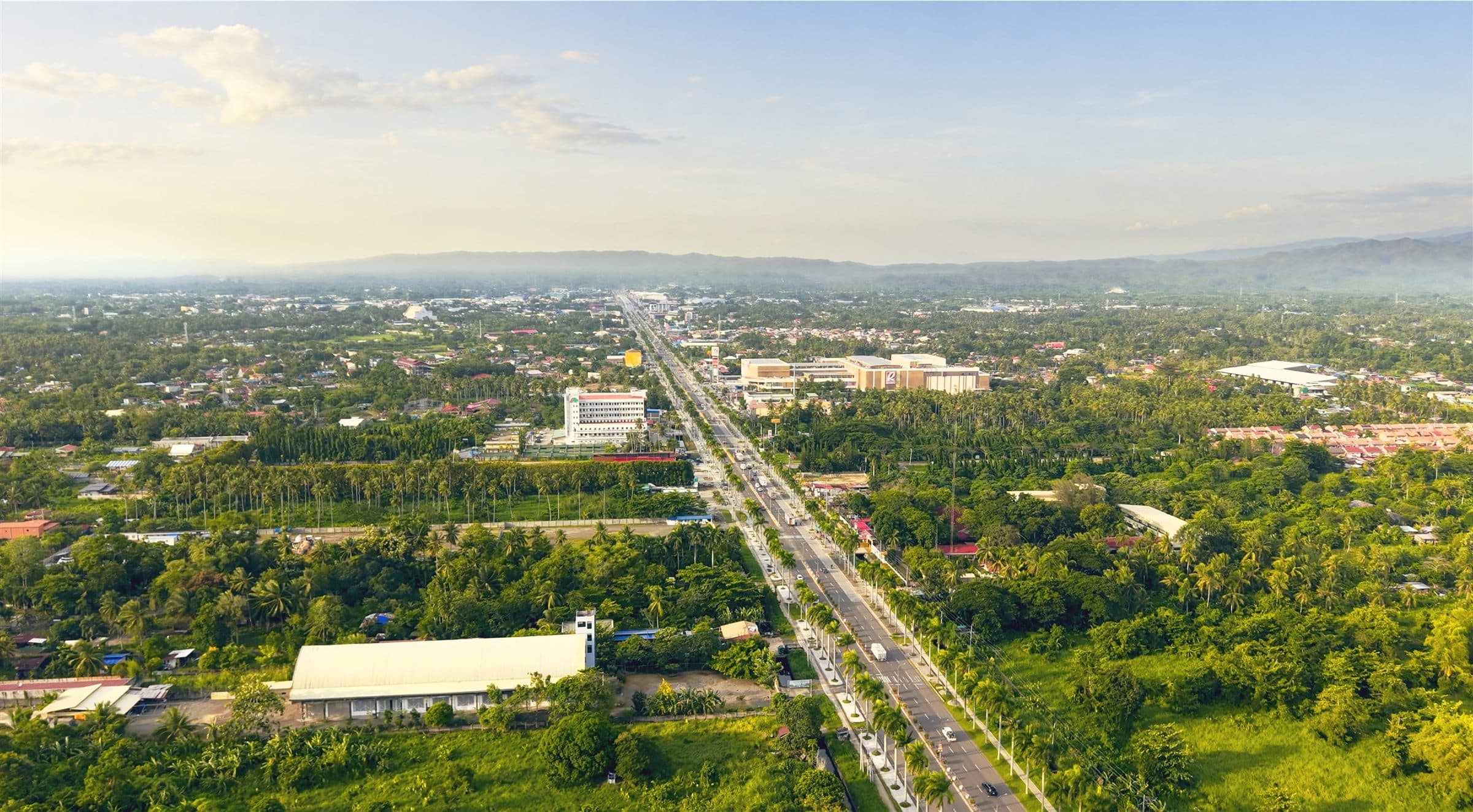 Aerial view of a town with a main road lined with trees